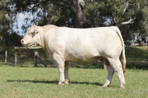 Lot 39 - JAJG84E