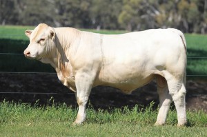 Lot 48 - JAJH22E