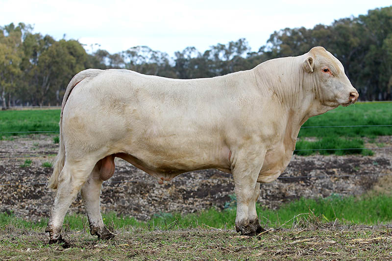 LOT 34 - JAJH50E